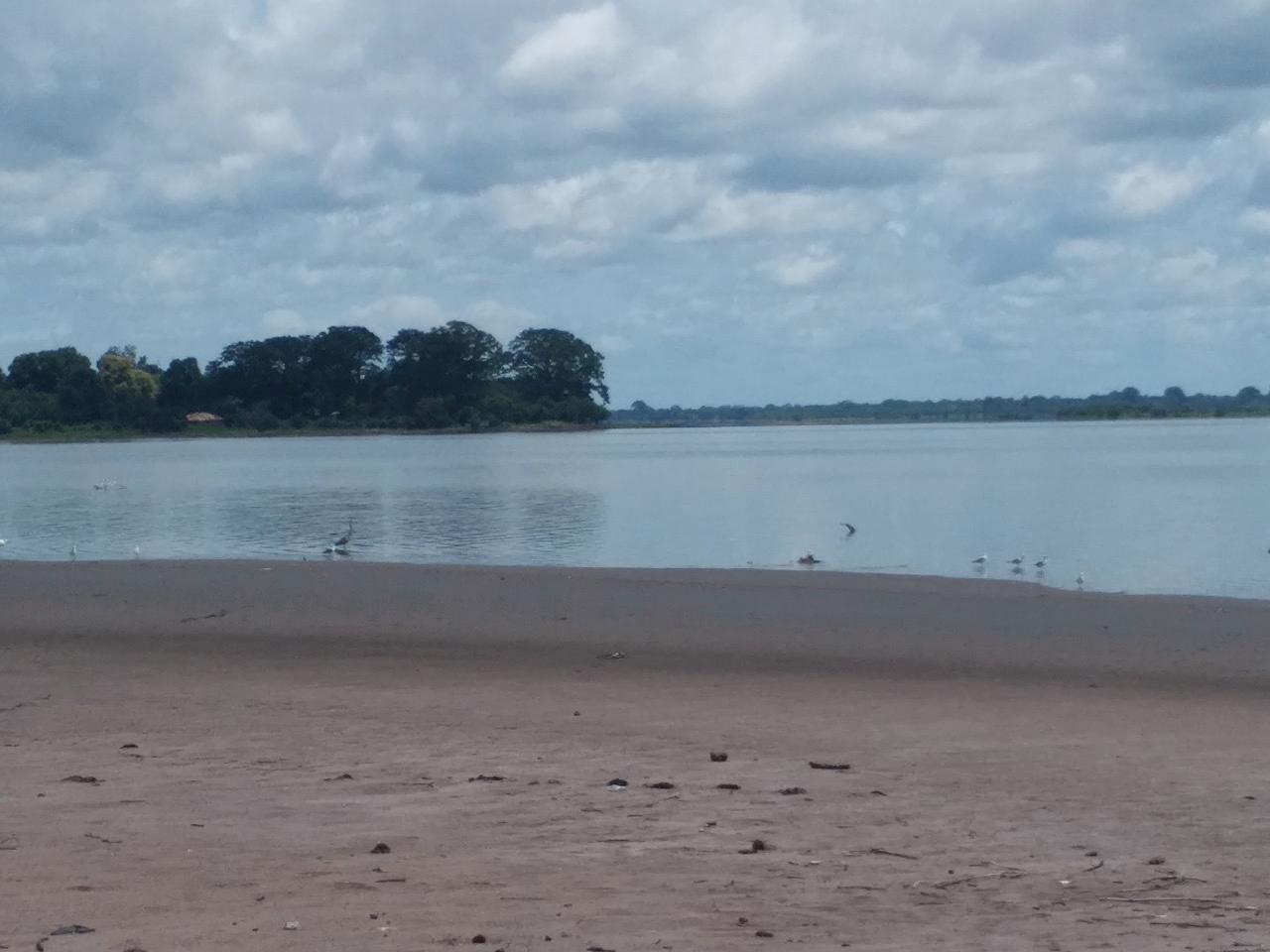 Estuaire et banc de sable à marée basse