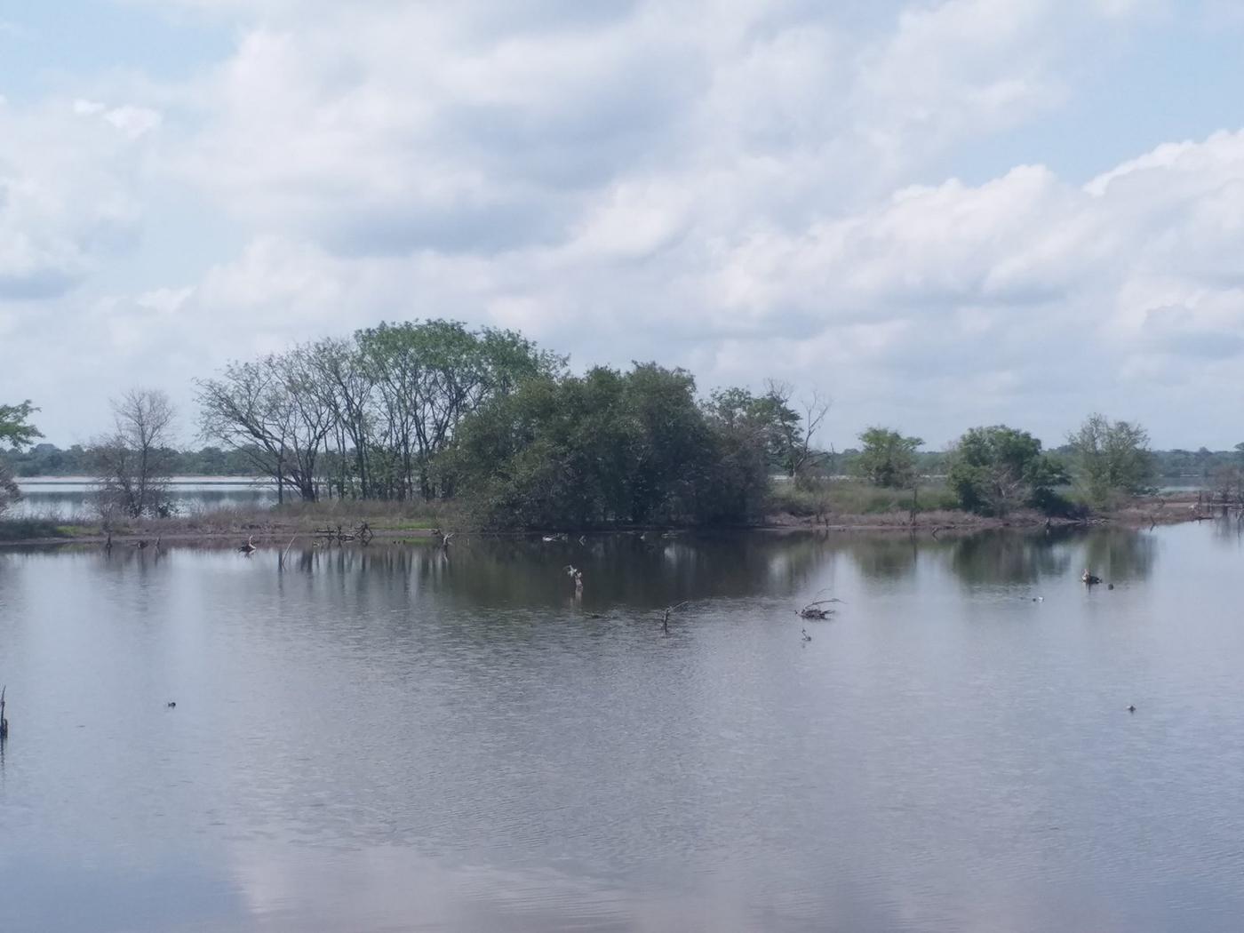 Paysage de mangrove et plan d’eau en Casamance
