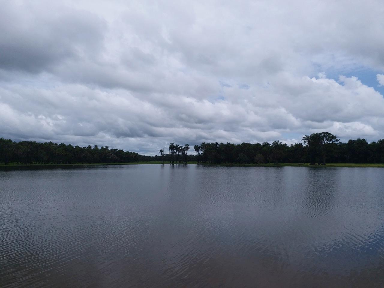 Plan d’eau bordé de végétation