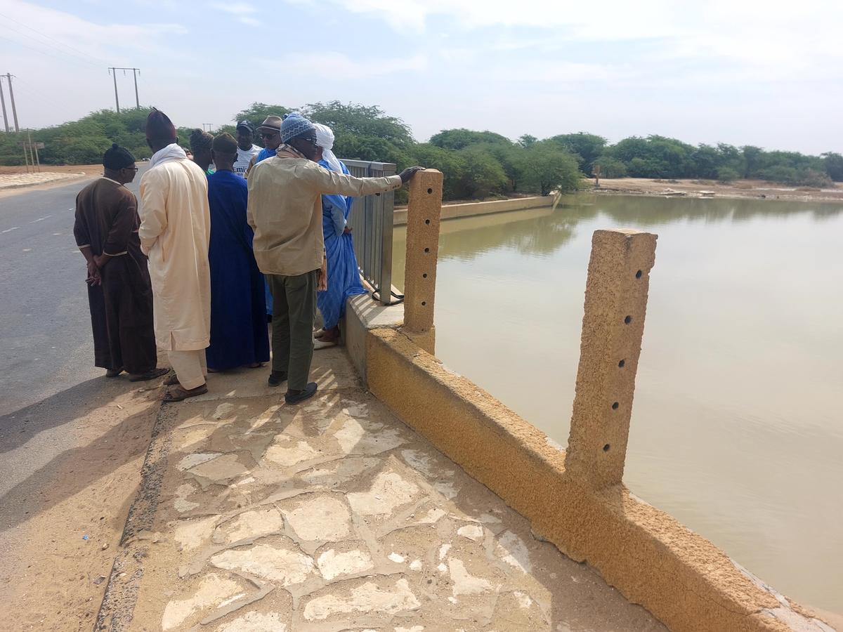 Groupe examinant un ouvrage hydraulique depuis un pont